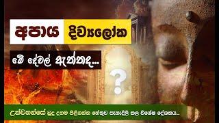 අපාය, දිව්‍යලෝක මේ දේවල් ඇත්තද? (උන්වහන්සේ බුදු දහම පිළිගන්න හේතුව පැහැදිලි කල දේශනය) | Niwan Dakimu