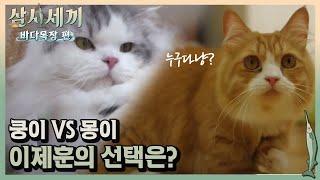 친쿵파 vs 친몽파! 과연 이제훈의 선택은?!ㅣ#삼시세끼바다목장편 170825 EP.4 #03