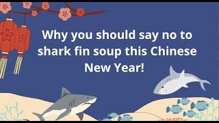 HKSF  - CNY 2023 Say NO to shark fin soup Maddy Threlkeld HKIS G11