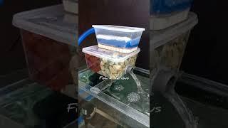 Aquarium top filter DIY | Fish tank filter DIY