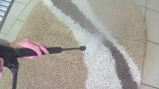 Unraveling the Truth  The Importance of  Carpet cleaning