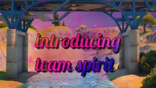 Do you want to join a *FORTNITE* TEAM? #Spirit2020