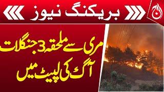 Three forests near Murree engulfed in flames - Breaking - Aaj News