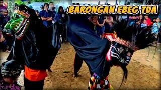 BARONGAN NDADI EBEG TUA TURONGGO JATI