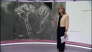 New Fossil Find from Charnwood Forest Announced on BBC News at 10