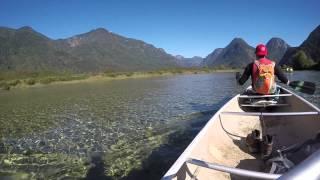 Pitt Lake