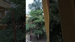 Kondhwa parge nagar 1bhk flat for rent at affordable rent call or what's ap 9370379822 for best deal