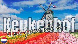 #34 - Europe : KEUKENHOF : Le plus grand parc floral des PAYS-BAS