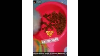 phynation gifted Phyna a pet. @instablogNG @INSTABUZZ_OFFICIEL @Instablacky_Nira @KL_Motohub