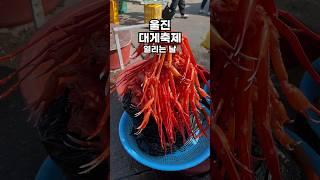 울진대게축제 열리는 날#여행하는핑초 #울진대게 #울진대게축제 #울진여행 #울진가볼만한곳 #울진축제