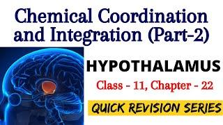 Chemical Coordination and Integration | Hypothalamus and Neurohormones | NEET 2020-21