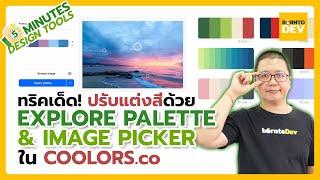 ทริคเด็ด! ปรับแต่งสีด้วย Explore Palette & Image Picker ใน COOLORS.co