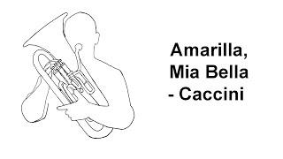 Amarilli, Mia Bella - Caccini - Thomas Gusewelle, Euphonium