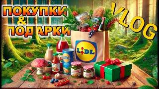 Что мне подарили на ДР.  Поиск грибов в лесу. Поход за продуктами.