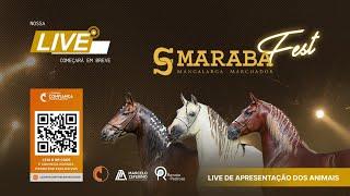 Live de Apresentação Oficial dos Animais Maraba Fest