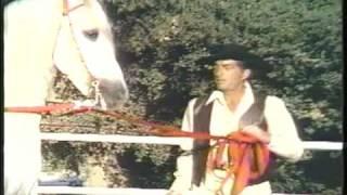 DEAN MARTIN & His Rare Andalusian Horses - Beautiful!