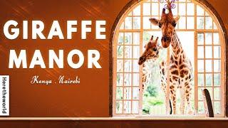 Giraffe Manor Hotel Kenya | an amazing stay experience with giraffes | 2024