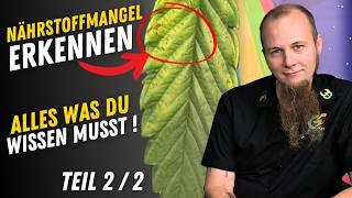 Nährstoffmangel und Calmag Problem erkennen Tipps  - Wie werde ich ein besserer Grower Teil 2/2