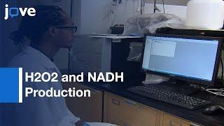 H2O2 and NADH Production Measurement by Flavin Dehydrogenases | Protocol Preview