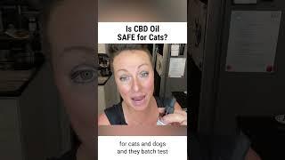 Is CBD Safe for Cats?