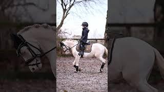 Riley & Jello riding outside