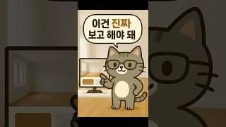 “이 영상, 인테리어 하려는 사람은 꼭 봐야 합니다” #고양이 #디지냥 #인테리어