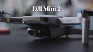 DJI Mini 2 Review - Not just for beginners!