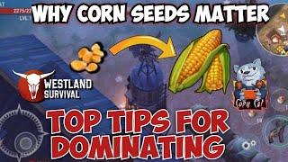 Why Corn Seeds Matter : Top Tips for Dominating Westland Survival