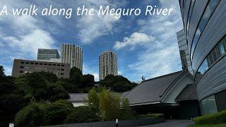 IRL Japan - Tokyo, Meguro river walk to Shibuya Scramble