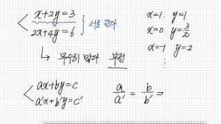 연립일차방정식