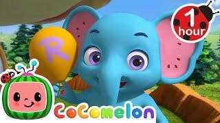 ABCs with Animals! | CoComelon Animal Time - Learning with Animals | Nursery Rhymes for Kids
