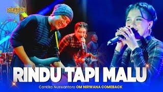 RINDU TAPI MALU - Cantika Nuswantoro OM NIRWANA COMEBACK Live Yofanda Expo