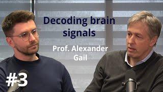 Decoding brain signals: decision-making, movement planning and neuroprosthetics with Prof. Gail