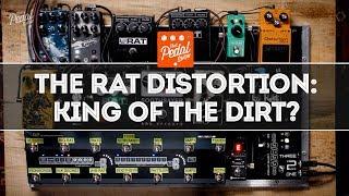 The ProCo RAT Distortion & RAT-Alikes: King Of The Dirt Pedals? That Pedal Show