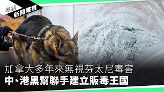 小粉紅挑釁港人：「解放軍踏到香港時你就知道甚麼是中國了」｜粵語新聞報道（12-02-2024）