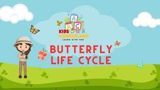 Butterfly Life Cycle | Kids Wonderland