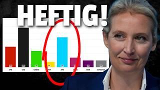 AfD Rekord ERGEBNIS bei Hamburg Wahl