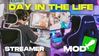 DAY IN THE LIFE: STREAMER VS. MOD