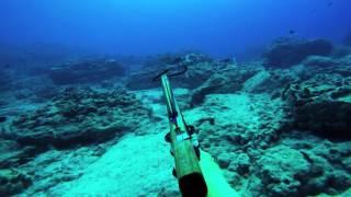 Spearfishing Hawaii