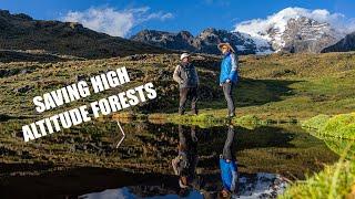 Critical Ecosystem Restoration in the High Andes | The Ecopreneurs Ep 3 | Acción Andina