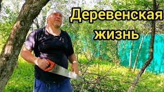 УРА ПЕРВАЯ ГРЯДКА. Деревенская жизнь. Первые посадки.