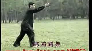 秘传心意六合拳 教学 Mi Chuan Xinyi Liuhe Quan 2/13