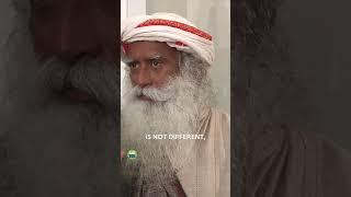 Who is True Yogi ? ~ Sadhguru