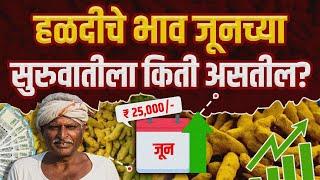 सध्या हळदीचे भाव तेजीत का आहेत? | Turmeric Market Price May 2024