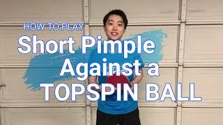 Short Pimple: How to return versus Topspin ball