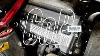 Donk Performance: CoP Umbau - M42