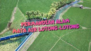 Permandian Mata Air Lotong-Lotong