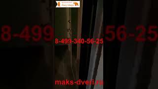 Видео обзор входной двери с зеркалом Макс 4 Беленый Дуб