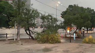 Dallas enfrenta devastación por tormentas: árboles caídos y alerta por inundaciones