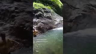 Iranian being Iranian